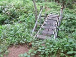 DSCF3206.jpg