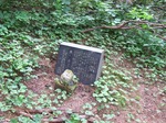 DSCF3208.jpg