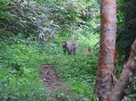 DSCF3209.jpg