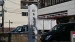 DSCF3230.jpg