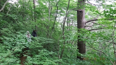 DSCF3235.jpg
