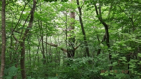 DSCF3236.jpg