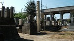 DSCF3252.jpg
