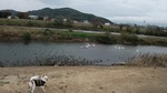 DSCF3318.jpg