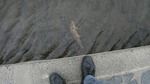 DSCF3322.jpg