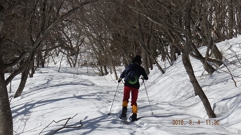 DSCF3350.jpg