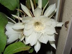 DSCF3356.jpg