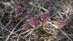 DSCF3381.jpg