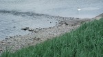 DSCF3394.jpg