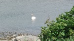 DSCF3396.jpg