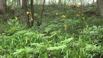 DSCF3406.jpg