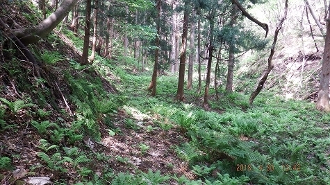 DSCF3407.jpg