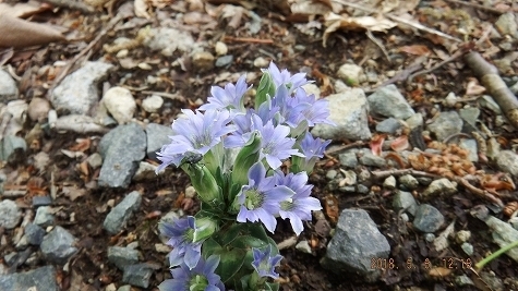 DSCF3443.jpg