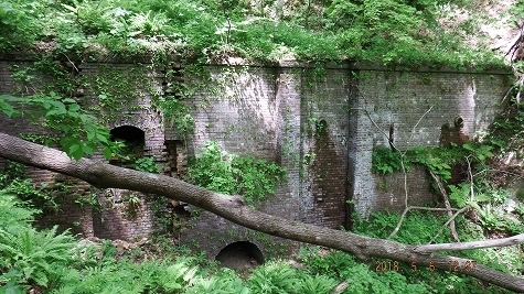DSCF3447.jpg
