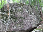DSCF3447.jpg
