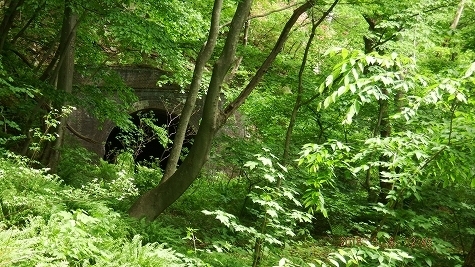 DSCF3455.jpg