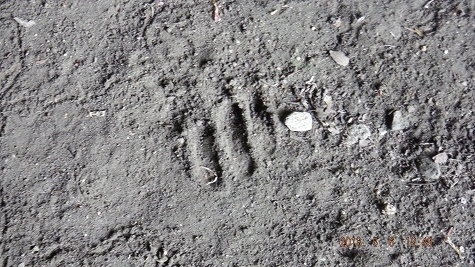 DSCF3457.jpg
