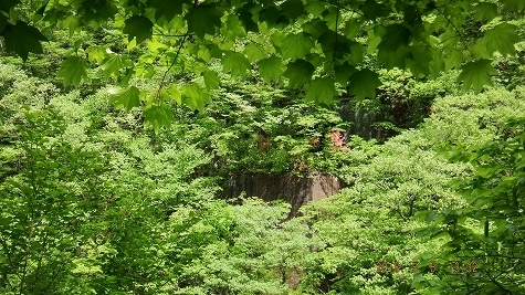 DSCF3459.jpg
