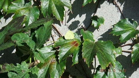 DSCF3583.jpg