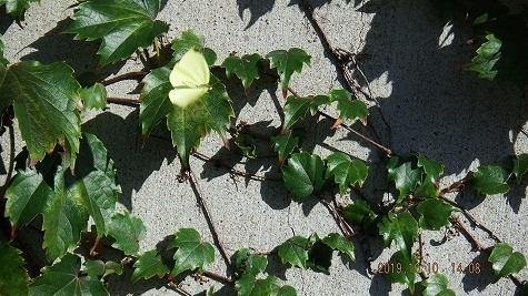 DSCF3586.jpg