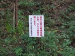 DSCF3611.jpg