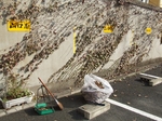 DSCF3631.jpg