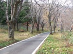 DSCF3632.jpg