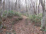 DSCF3633.jpg