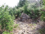 DSCF3643.jpg