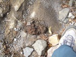 DSCF3645.jpg