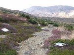 DSCF3653.jpg