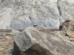 DSCF3658.jpg