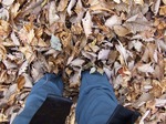 DSCF3670.jpg