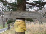 DSCF3671.jpg