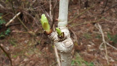 DSCF3680.jpg
