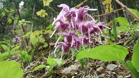 DSCF3688.jpg
