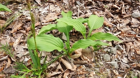 DSCF3693.jpg