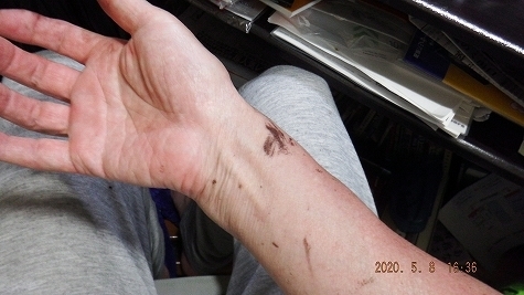 DSCF3712.jpg