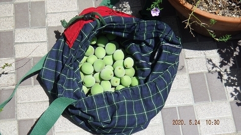 DSCF3717.jpg