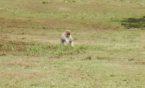 DSCF3721.jpg