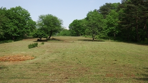 DSCF3723.jpg
