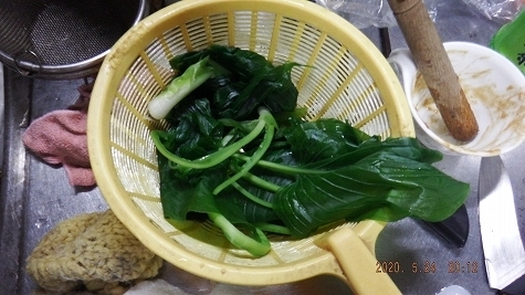 DSCF3727.jpg