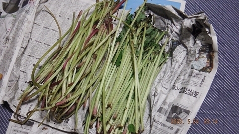 DSCF3728.jpg