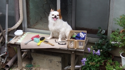 DSCF3740.jpg