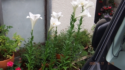 DSCF3744.jpg