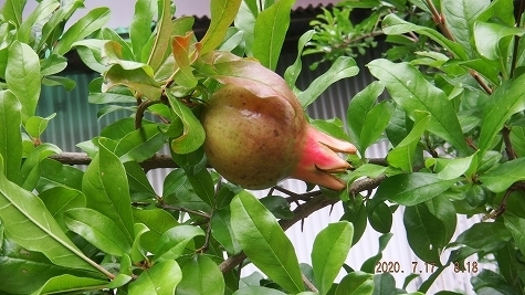 DSCF3745.jpg