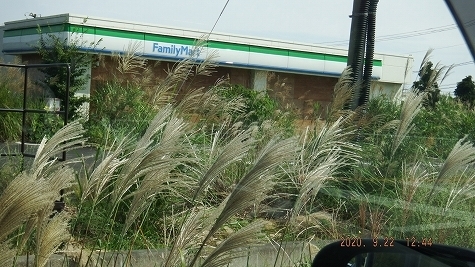 DSCF3753.jpg