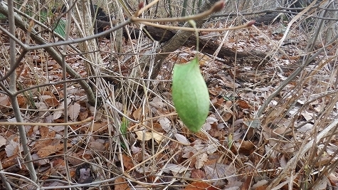 DSCF3790.jpg