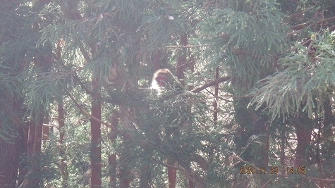 DSCF3794.jpg