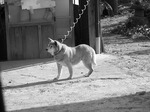 DSCF3984.jpg